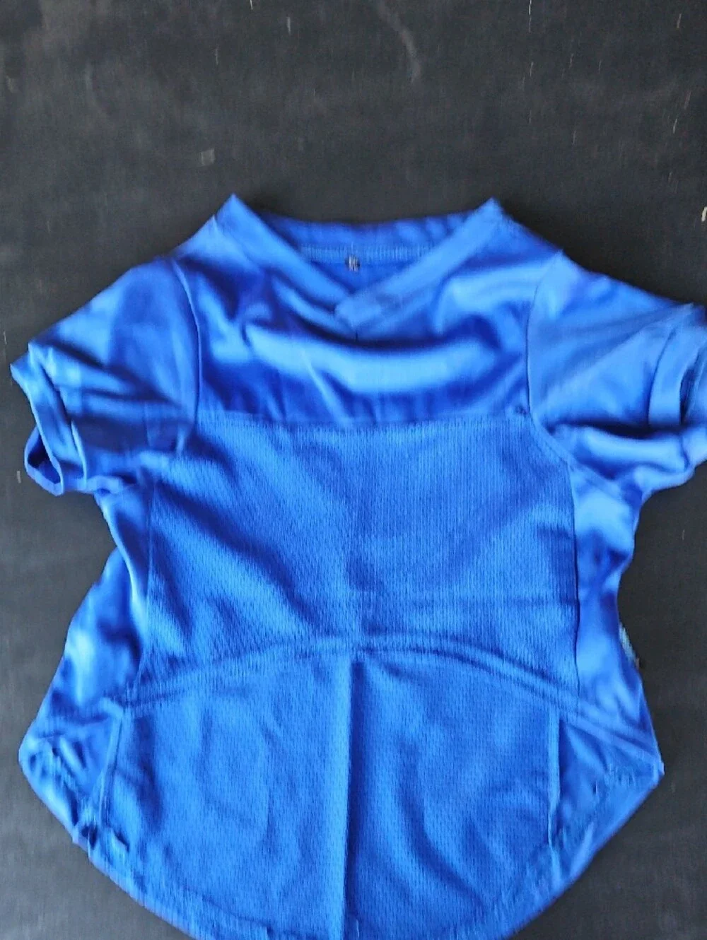 Detroit Blue Pet Jersey - Team Logo Dog Shirt
